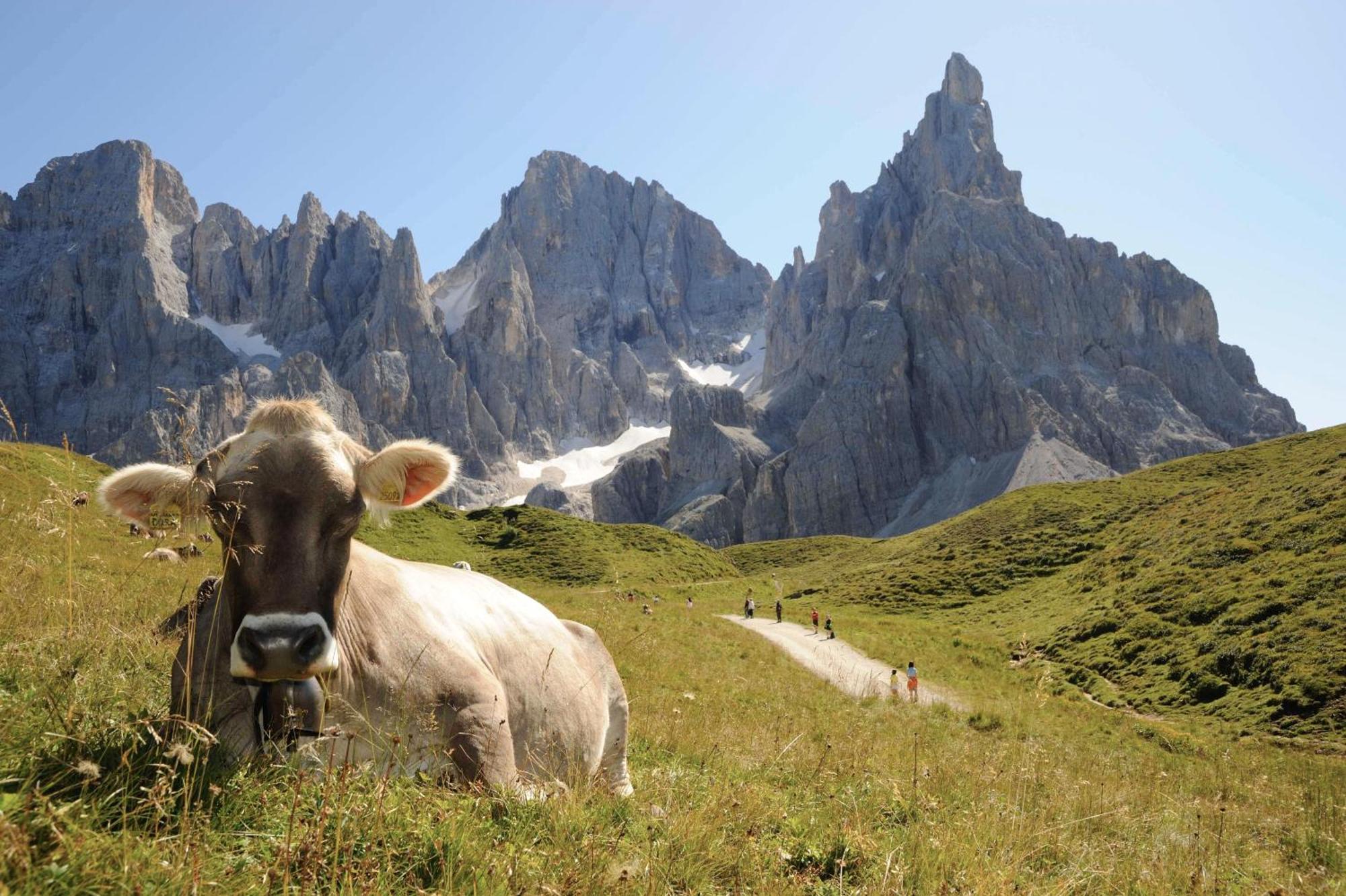 Sporting Aparthotel San Martino Di Castrozza Luaran gambar